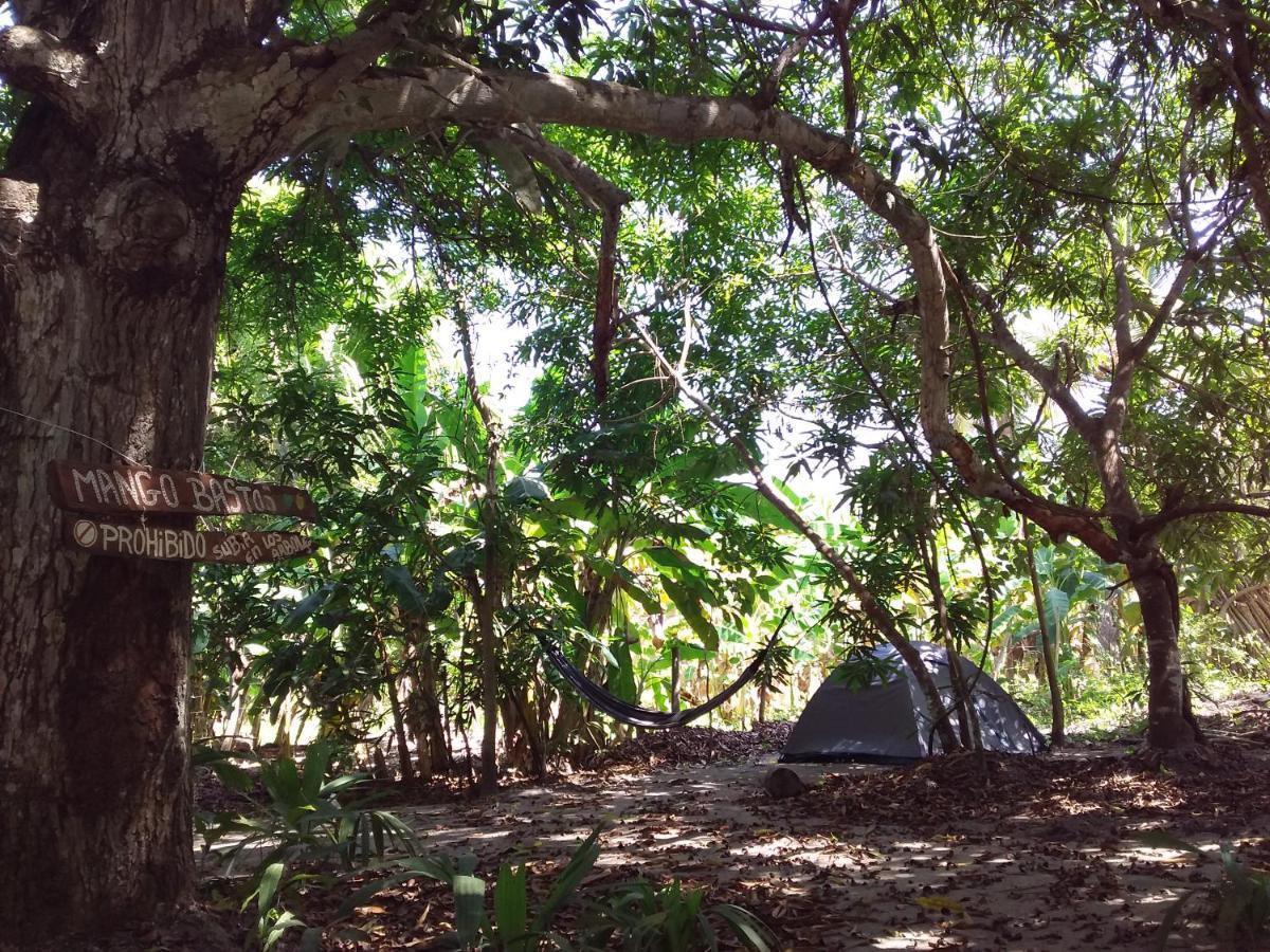 Eco-Camping Mango Feliz Rincon Del Mar San Onofre Zewnętrze zdjęcie