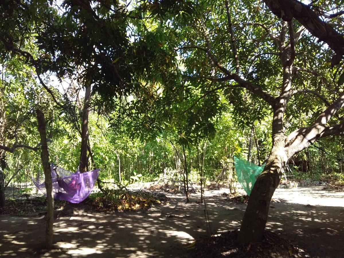 Eco-Camping Mango Feliz Rincon Del Mar San Onofre Zewnętrze zdjęcie