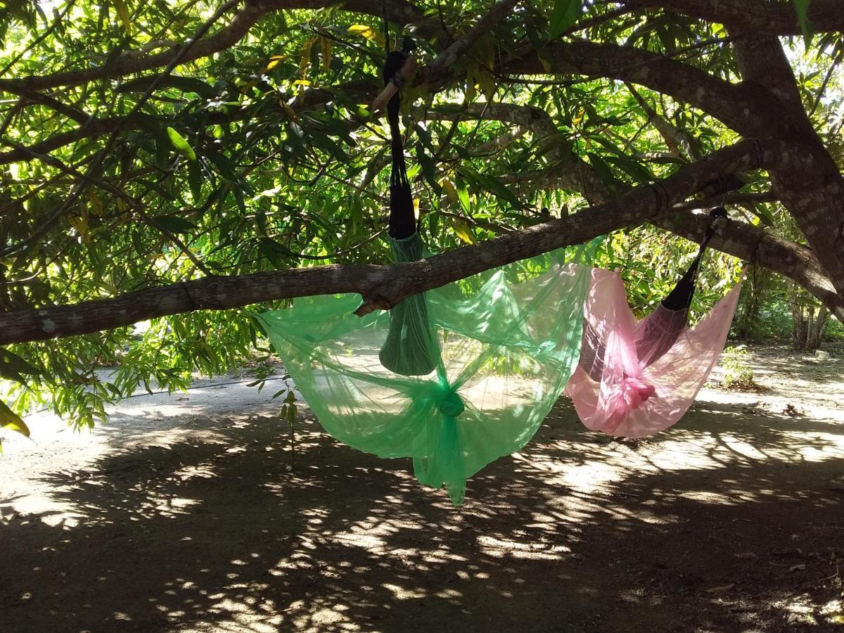 Eco-Camping Mango Feliz Rincon Del Mar San Onofre Zewnętrze zdjęcie