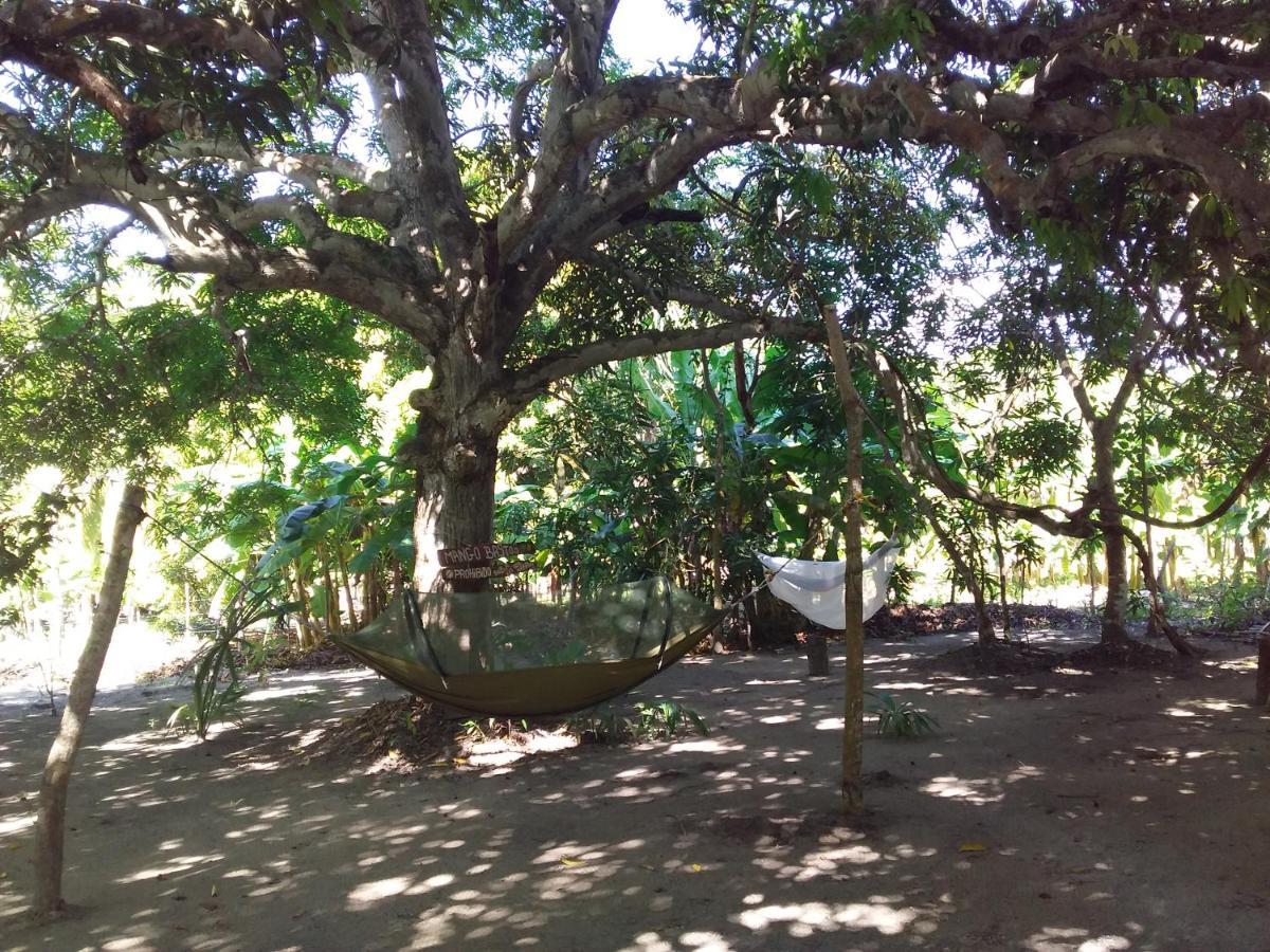 Eco-Camping Mango Feliz Rincon Del Mar San Onofre Zewnętrze zdjęcie