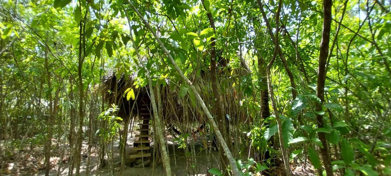 Eco-Camping Mango Feliz Rincon Del Mar San Onofre Zewnętrze zdjęcie