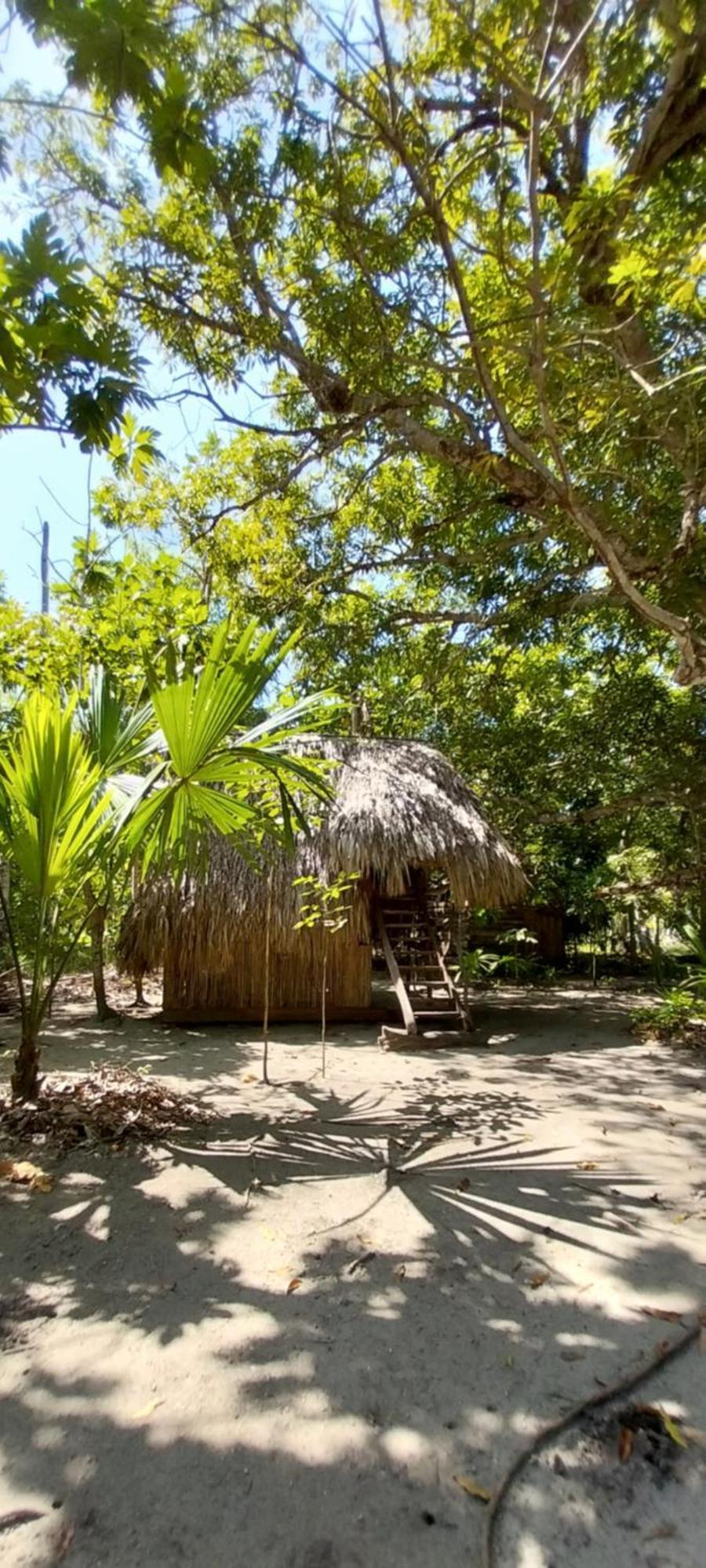 Eco-Camping Mango Feliz Rincon Del Mar San Onofre Zewnętrze zdjęcie