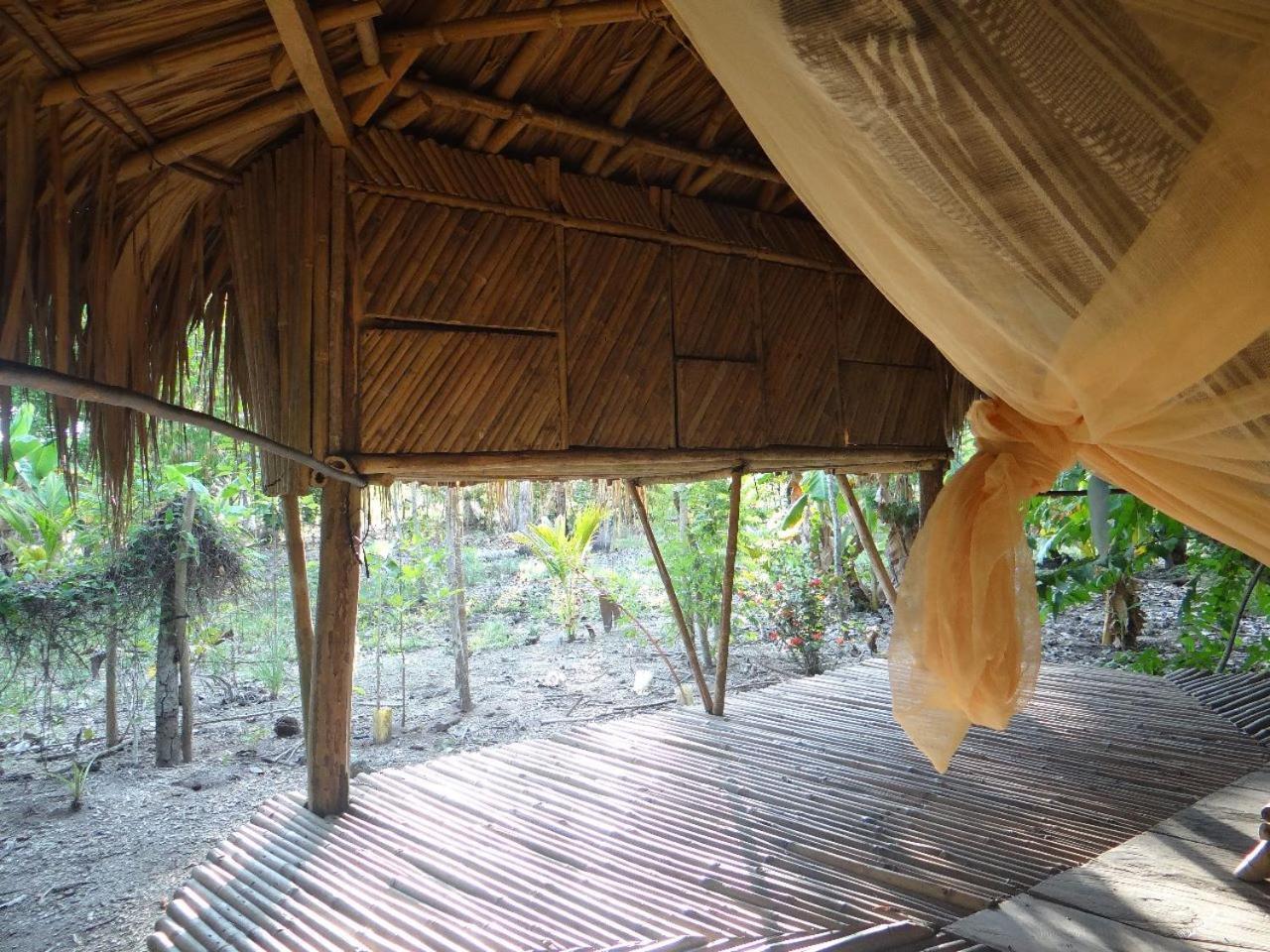 Eco-Camping Mango Feliz Rincon Del Mar San Onofre Zewnętrze zdjęcie
