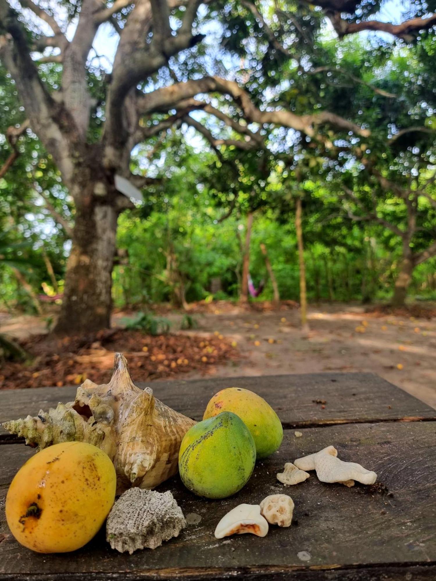 Eco-Camping Mango Feliz Rincon Del Mar San Onofre Zewnętrze zdjęcie