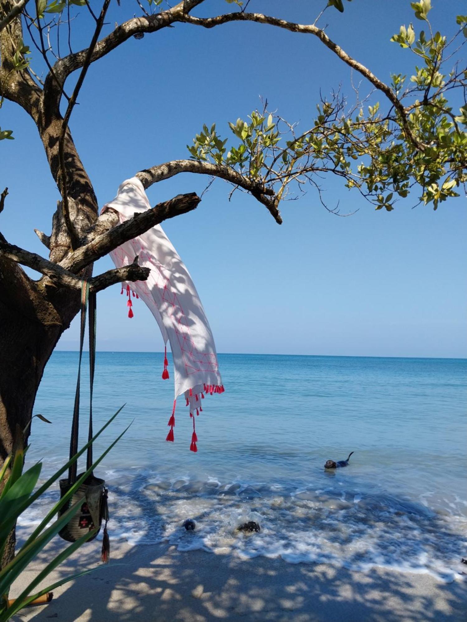 Eco-Camping Mango Feliz Rincon Del Mar San Onofre Zewnętrze zdjęcie