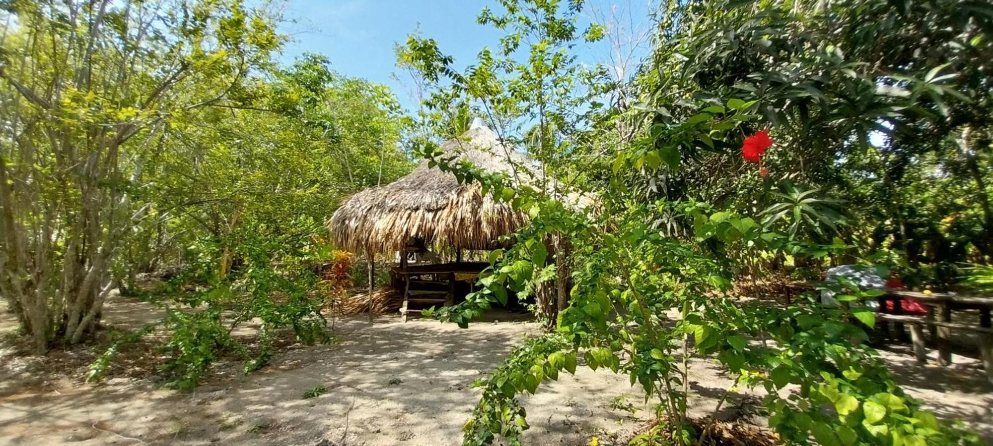 Eco-Camping Mango Feliz Rincon Del Mar San Onofre Zewnętrze zdjęcie