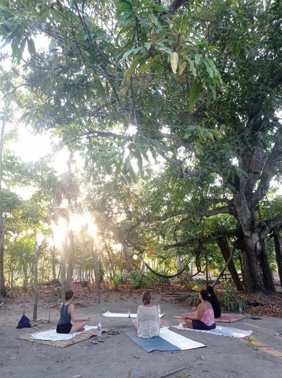 Eco-Camping Mango Feliz Rincon Del Mar San Onofre Zewnętrze zdjęcie