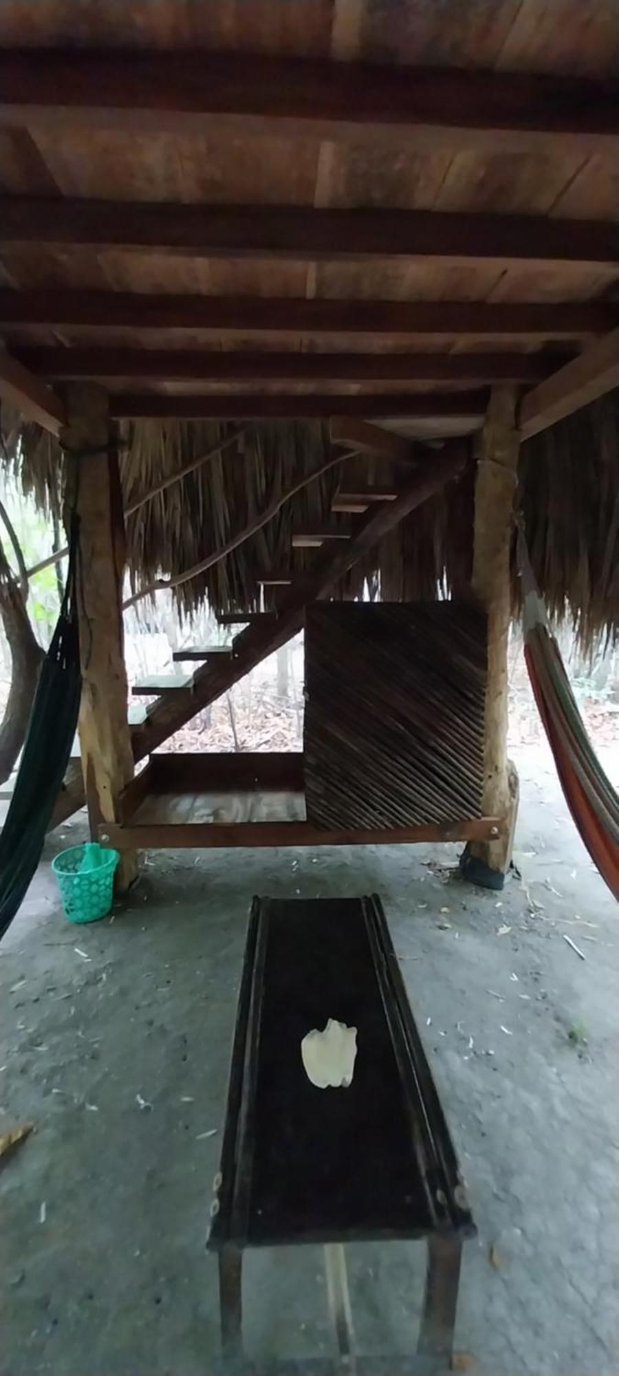 Eco-Camping Mango Feliz Rincon Del Mar San Onofre Zewnętrze zdjęcie