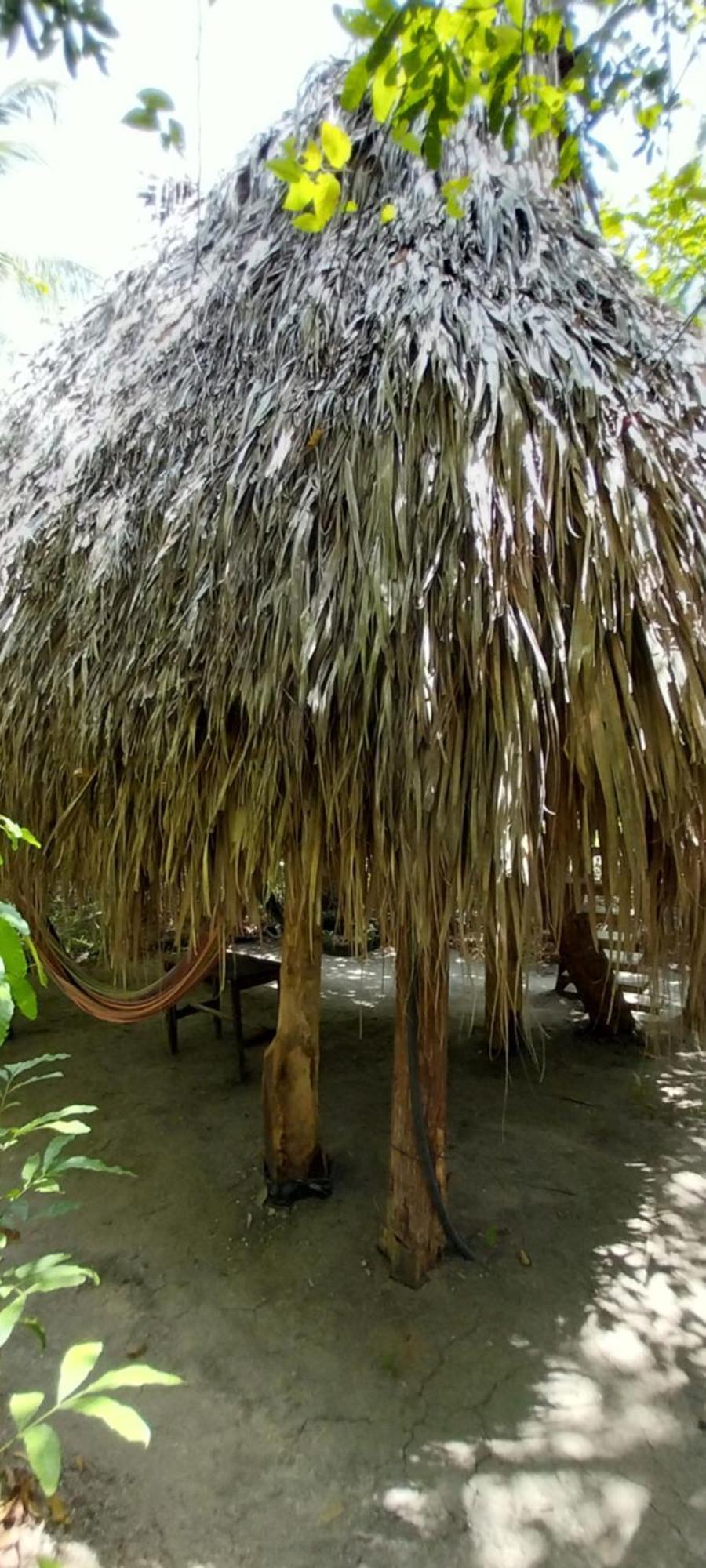 Eco-Camping Mango Feliz Rincon Del Mar San Onofre Zewnętrze zdjęcie